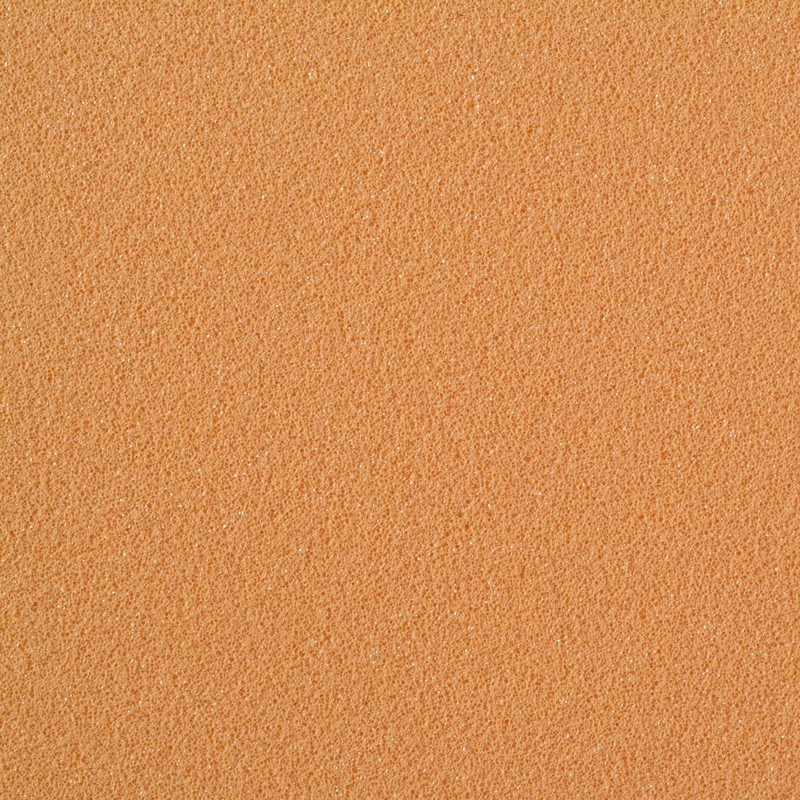 ORTHOMIC® CARNE