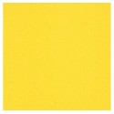PROPULSE DYNAMIC 
AMARILLO