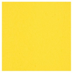 PROPULSE DYNAMIC 
AMARILLO