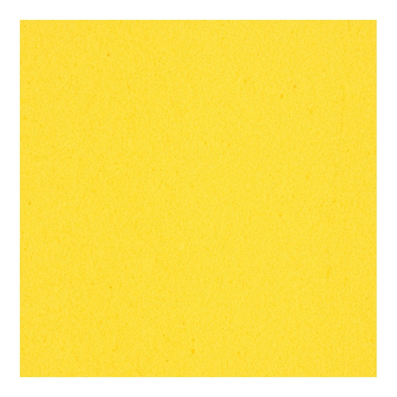 PROPULSE DYNAMIC 
AMARILLO