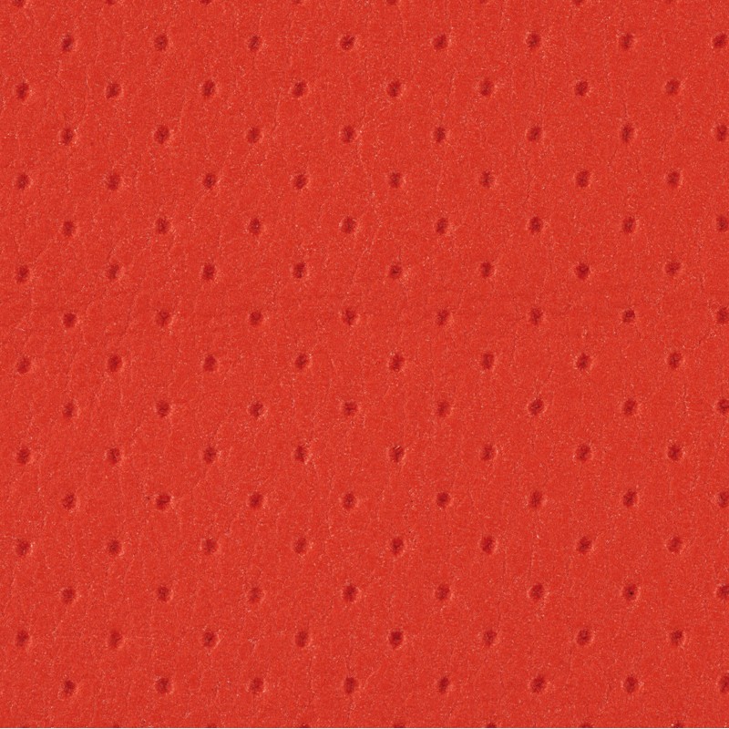 AMF MP 
ROJO