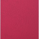 SPORTCOVER_ROSA