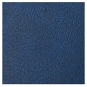 SPORTCOVER 
AZUL