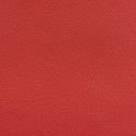 PROGRIP ROJO